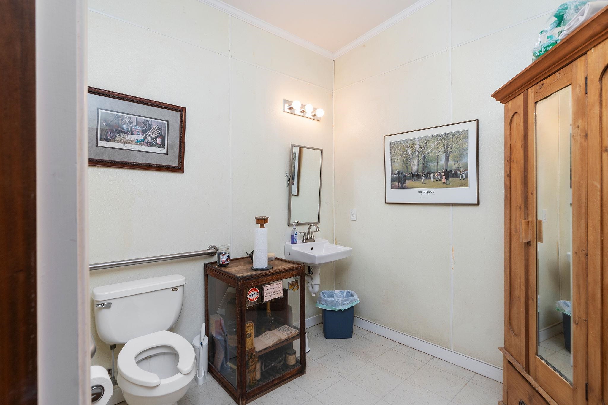 309 Old B&O Road Raphine, VA 24472 - Photo 11 of 75 a bathroom with a toilet a sink and mirror