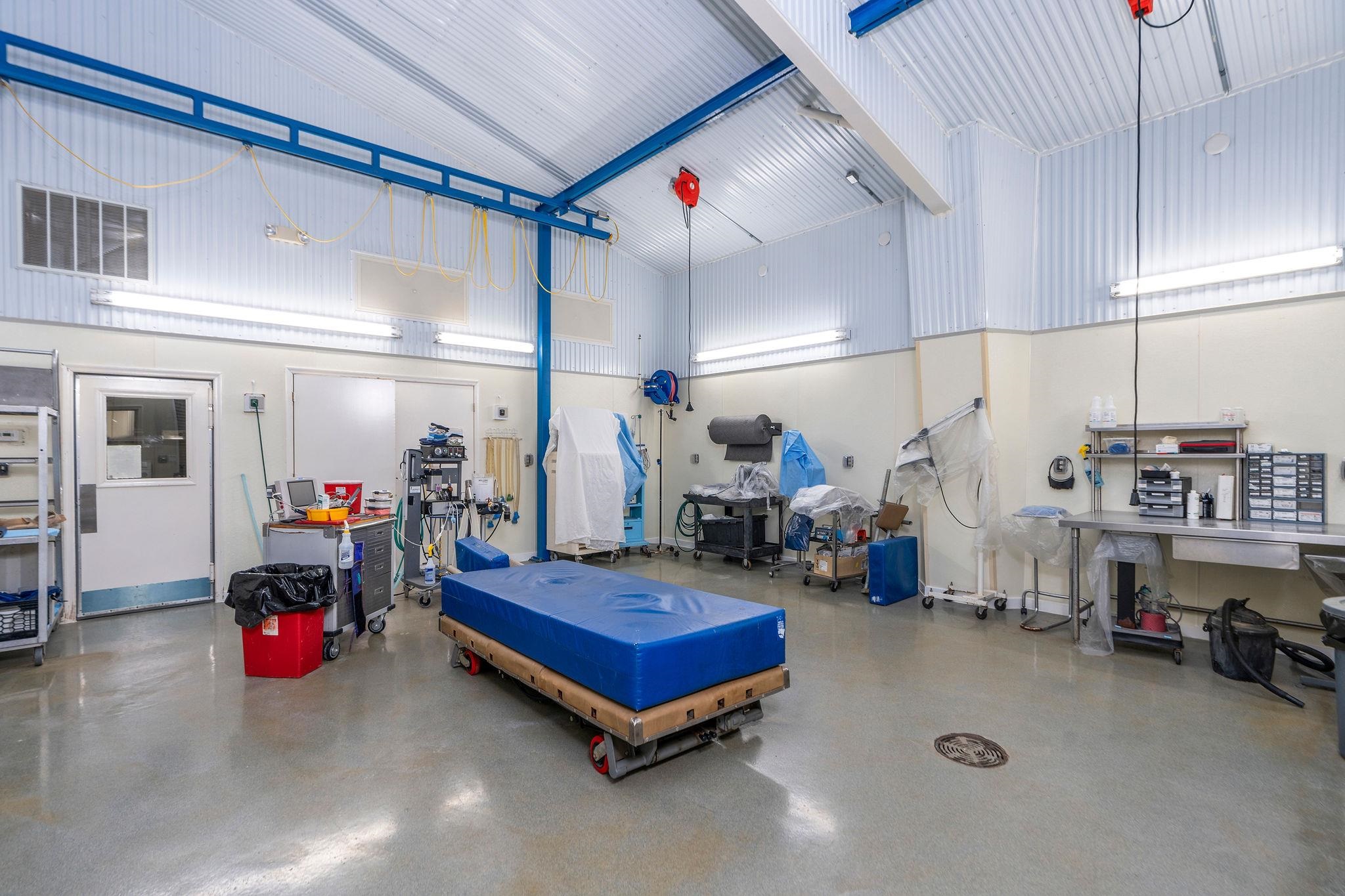 309 Old B&O Road Raphine, VA 24472 - Photo 30 of 75