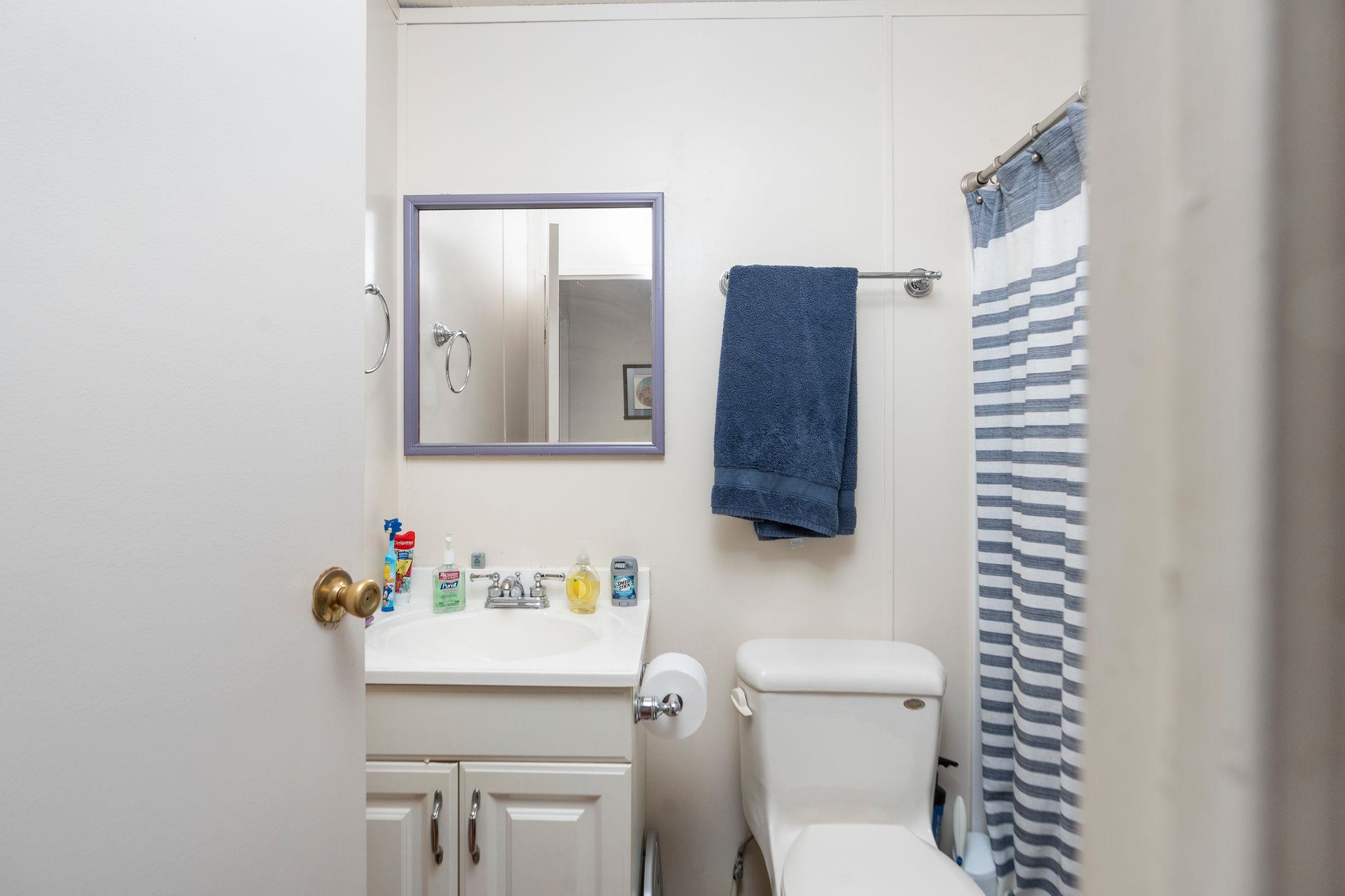 309 Old B&O Road Raphine, VA 24472 - Photo 41 of 75 a bathroom with a sink toilet and mirror