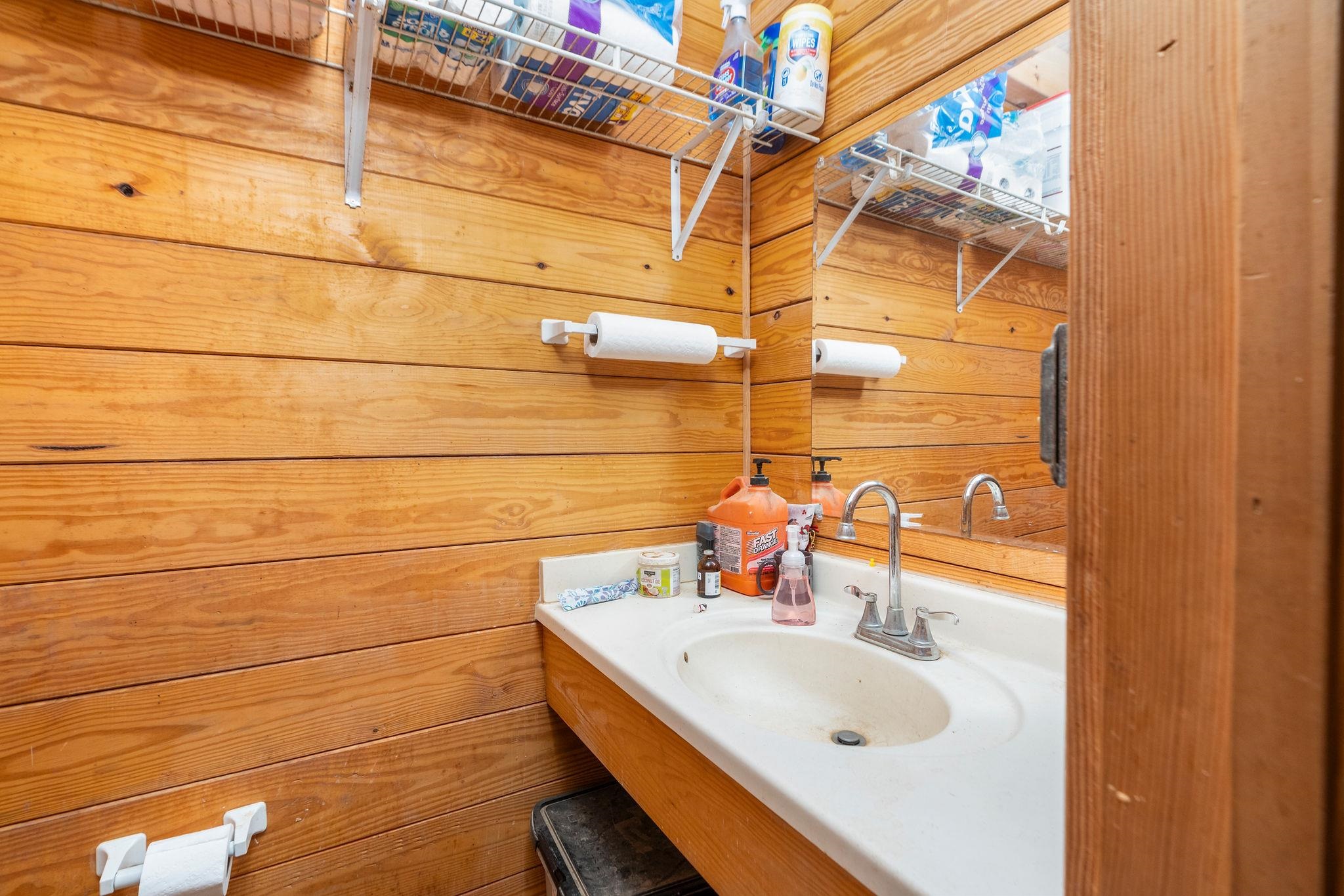 309 Old B&O Road Raphine, VA 24472 - Photo 44 of 75 a bathroom with a sink and a mirror