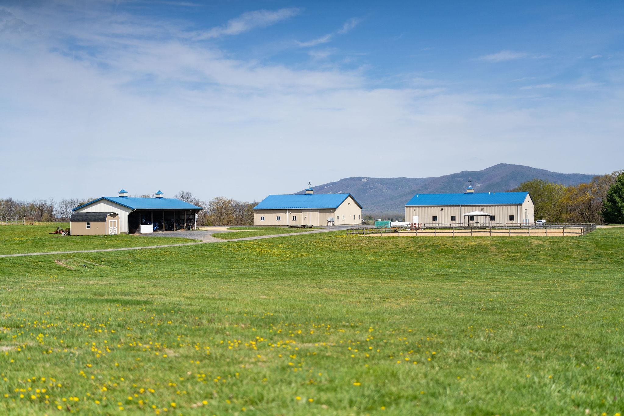 309 Old B&O Road Raphine, VA 24472 - Photo 74 of 75 a view of a big house with a big yard and large trees
