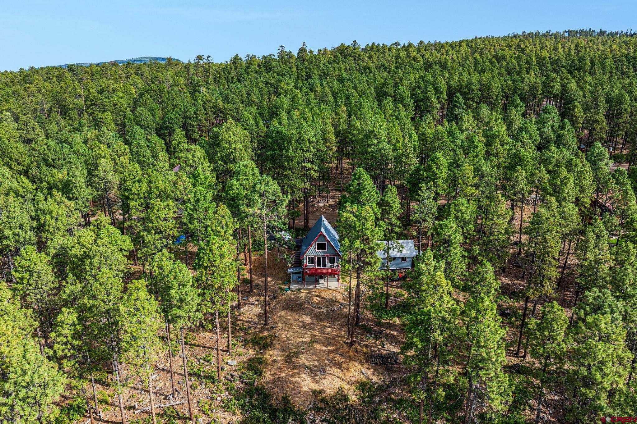56 Blue Ridge Drive Bayfield, CO 81122 - Photo 32 of 32 Gallery Image 32