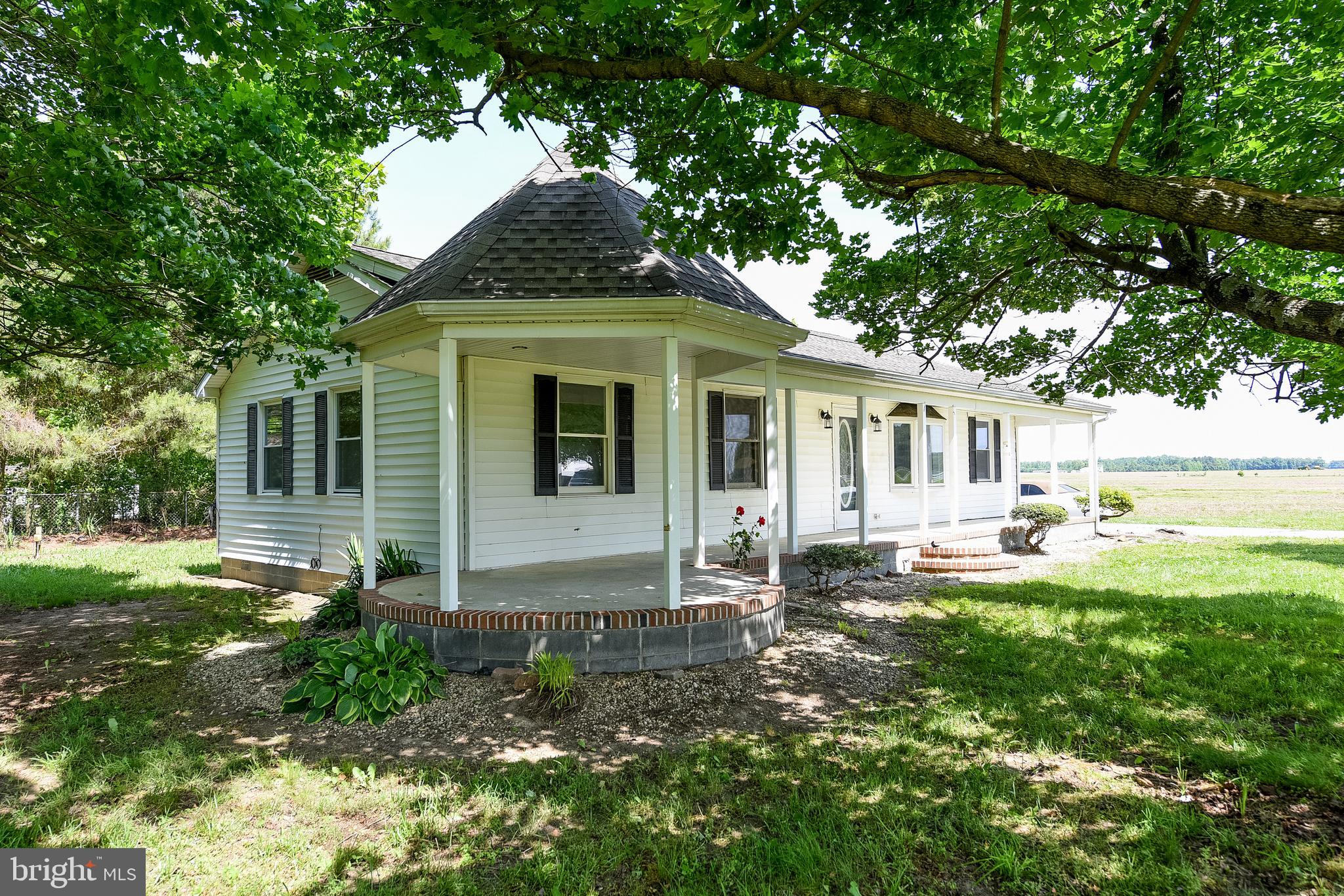 7230 Jones Corner Road Federalsburg, MD 21632 - Photo 30 of 50 Beautiful mature Trees