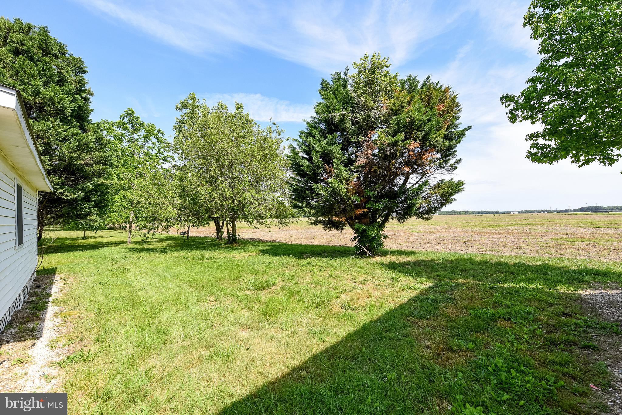 7230 Jones Corner Road Federalsburg, MD 21632 - Photo 35 of 50 Back side yard