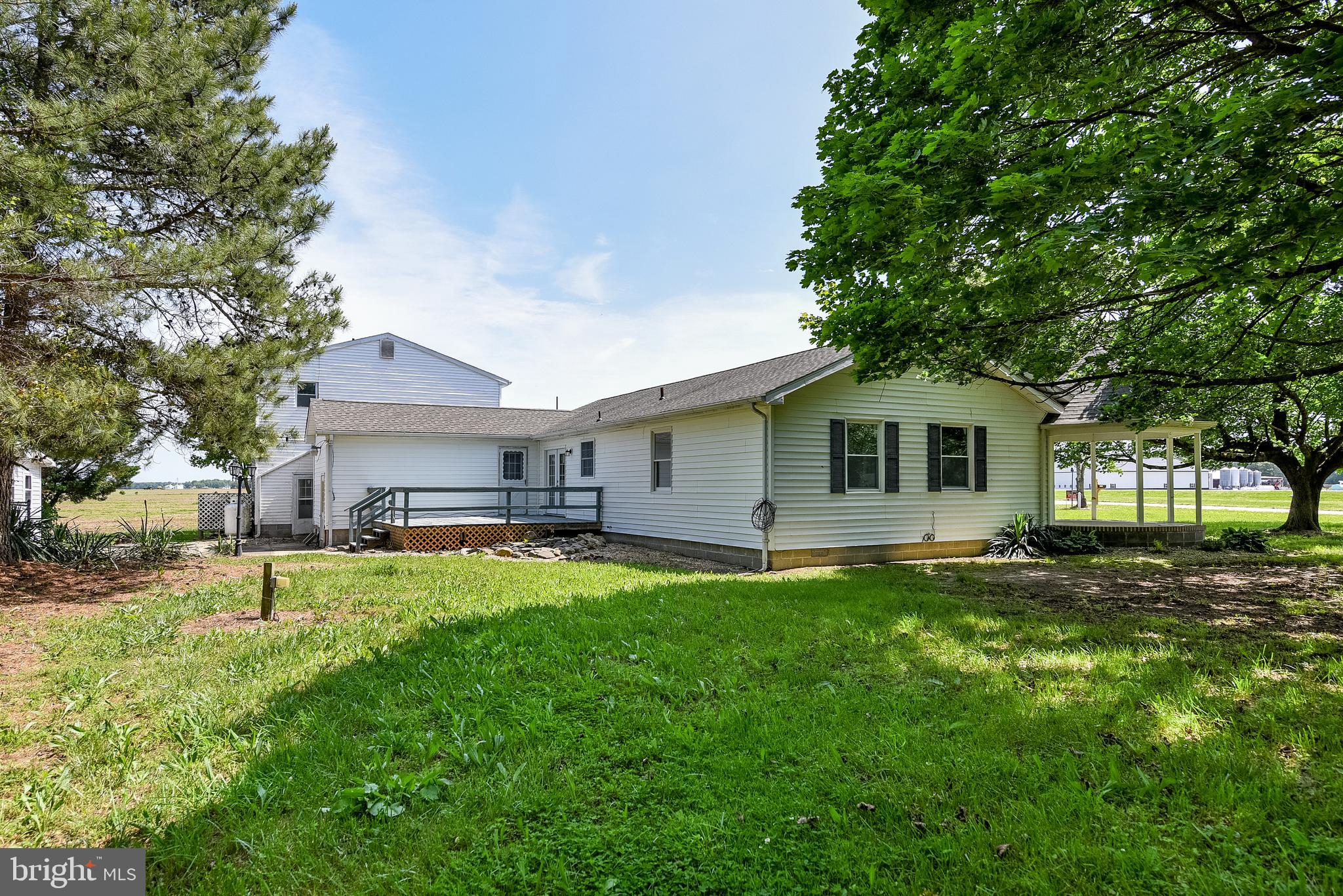 7230 Jones Corner Road Federalsburg, MD 21632 - Photo 4 of 50 Backyard