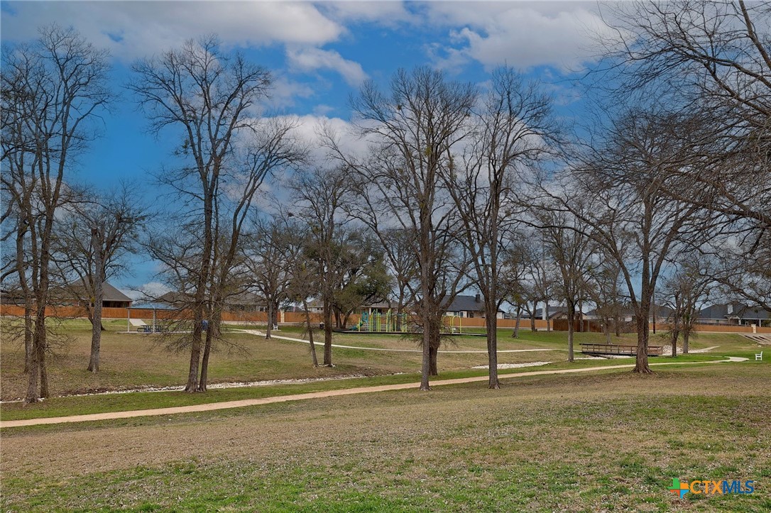 7238 Valley Mist Drive Temple, TX 76502 - Photo 34 of 35