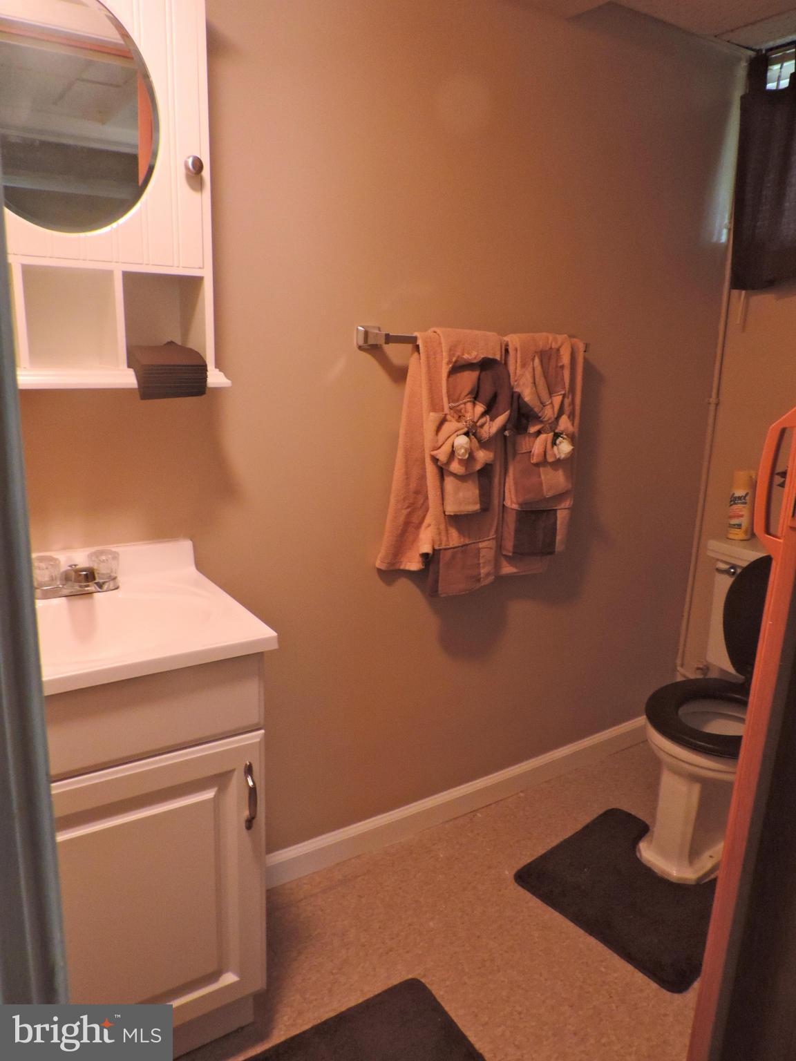 1424 Barrett Road Baltimore, MD 21207 - Photo 14 of 22 Basement Bath