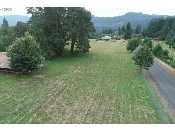 a view of a field with a tree in the background