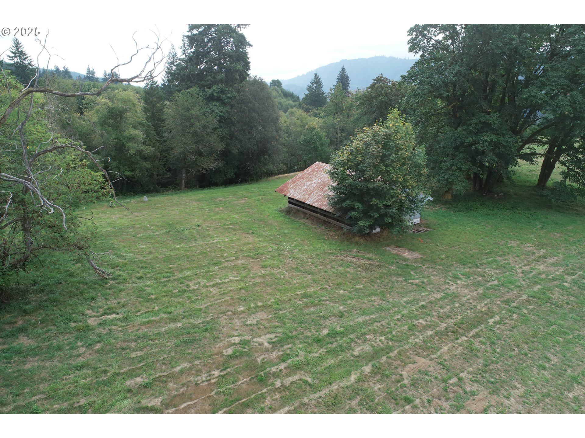 230 Wilkinson Road, Unit 2 Ariel, WA 98603 - Photo 6 of 7 a backyard of a house with lots of green space