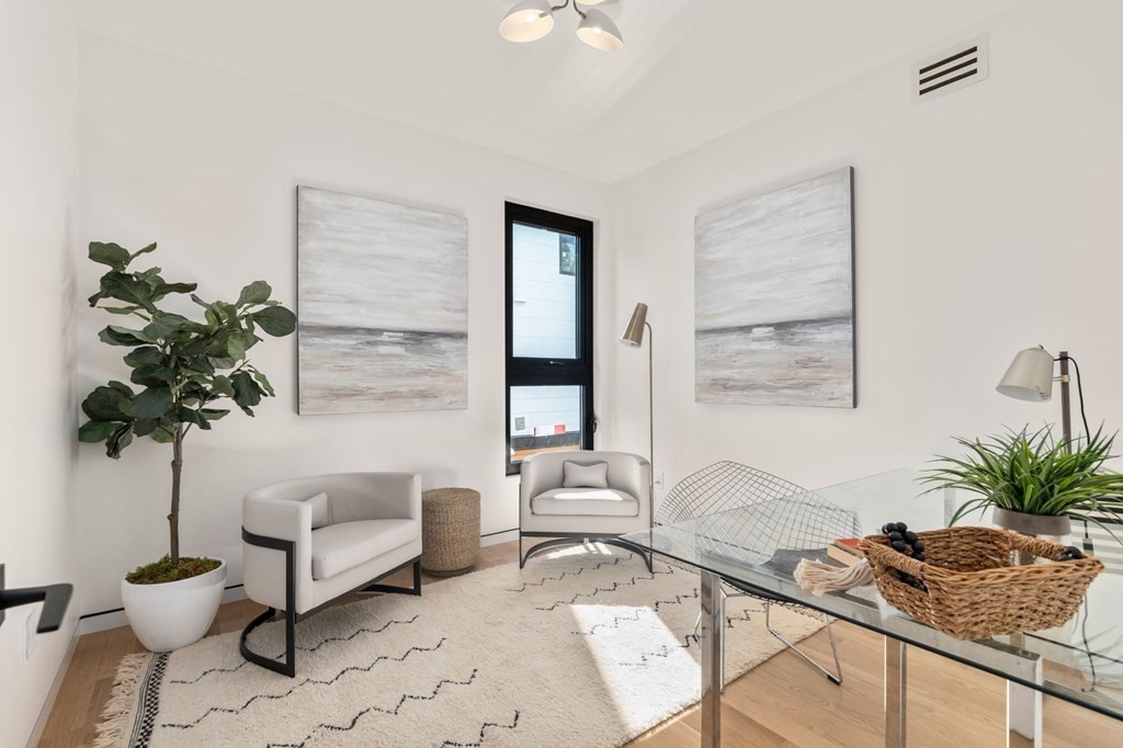 43 Stearns Road, Unit SF Brookline, MA 02446 - Photo 17 of 19 a living room with furniture and a potted plant