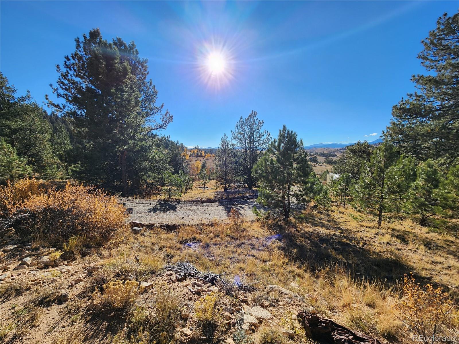 972 Cohonina Road Hartsel, CO 80449 - Photo 3 of 14 a view of a yard with wooden fence