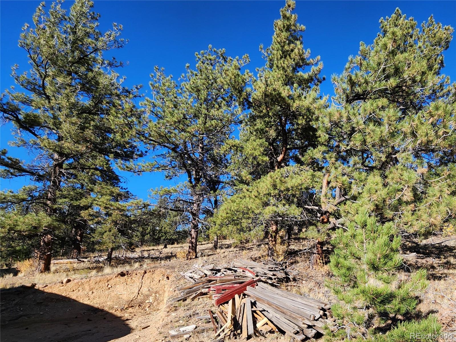 972 Cohonina Road Hartsel, CO 80449 - Photo 10 of 14 a view of a tree in front of a house