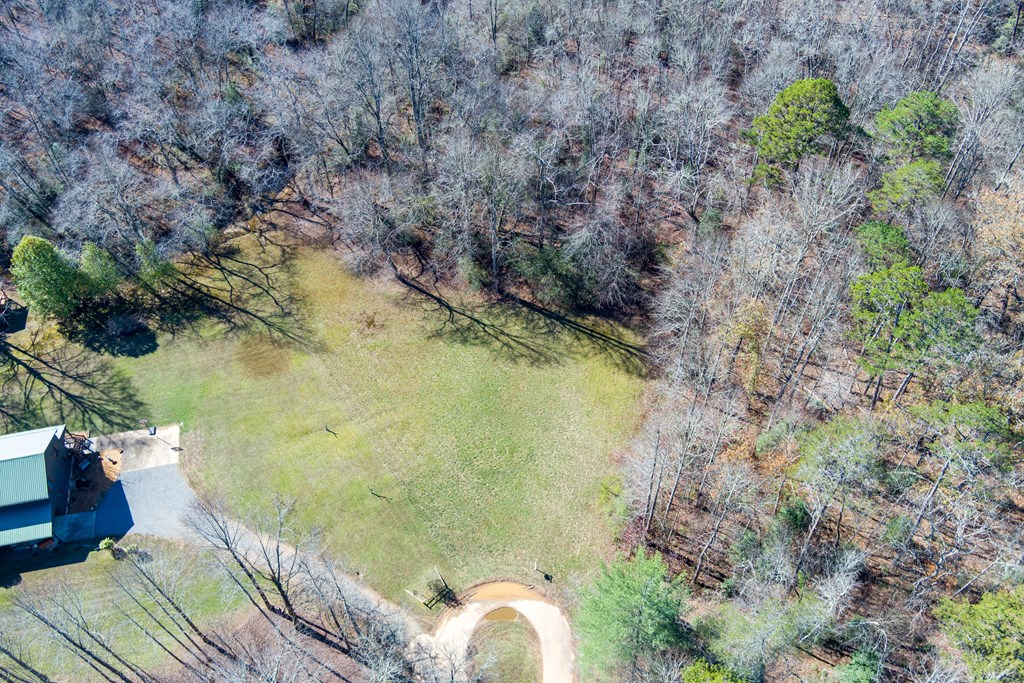 0 Pine Grove Blue Ridge, GA 30513 - Photo 3 of 23 Gallery Image 3