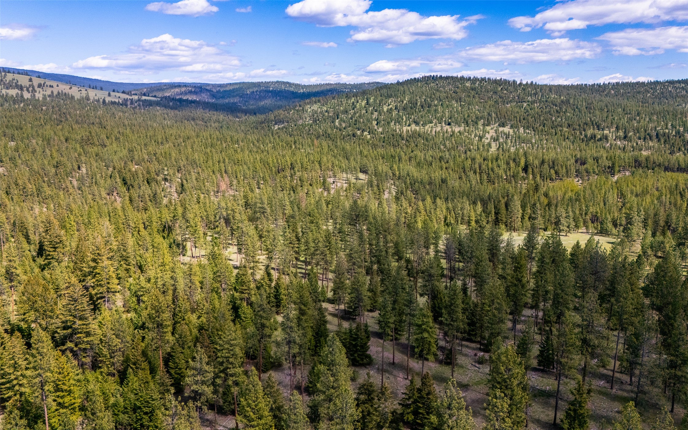 3145-3185 Hubbart Dam Road Marion, MT 59925 - Photo 88 of 106 Gallery Image 88
