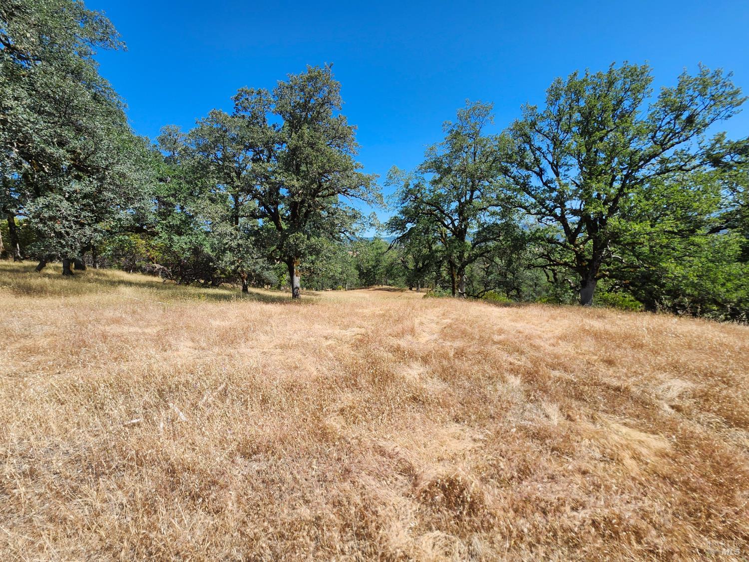 22551 Rifle Range Road Covelo, CA 95428 - Photo 23 of 24