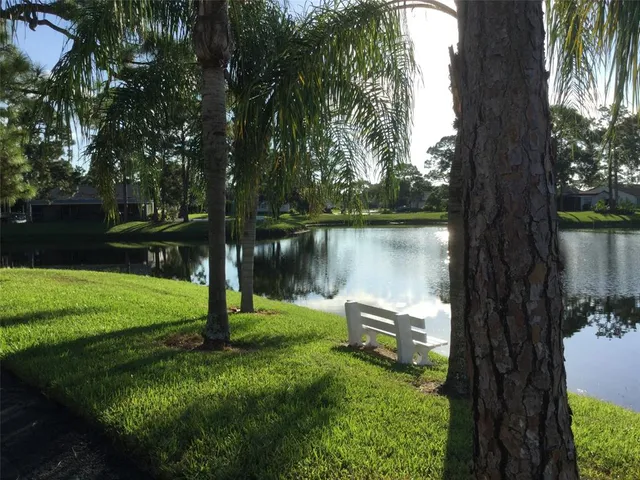 a view of a park with large trees