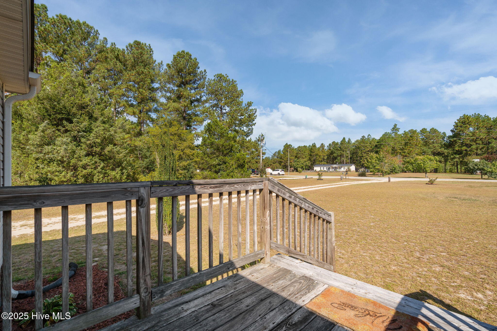 117 Amanda Lane Rockingham, NC 28379 - Photo 36 of 48 36-web-or-mls-DSC00369