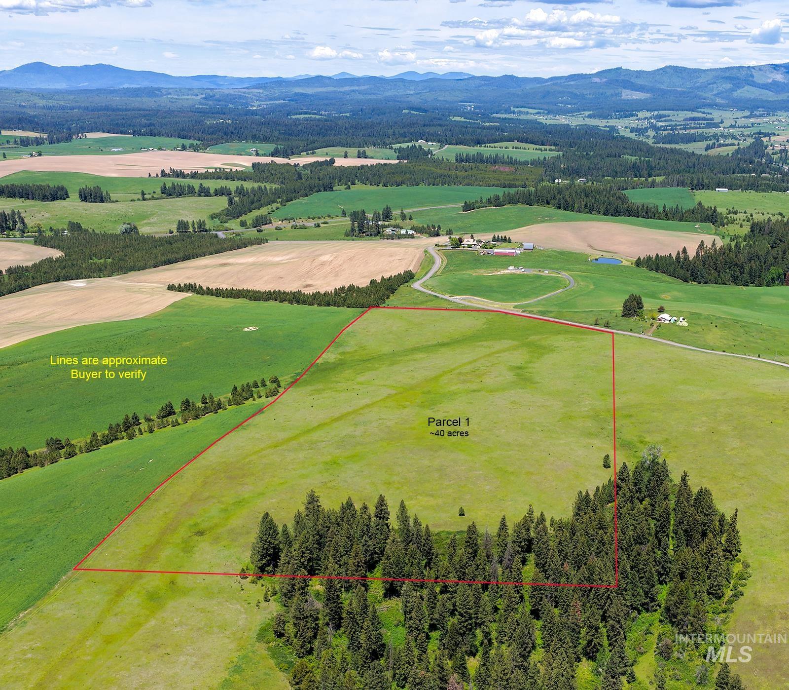 Tbd Tbd Johnson Road, Unit 1 Deary, ID 83823 - Photo 4 of 18