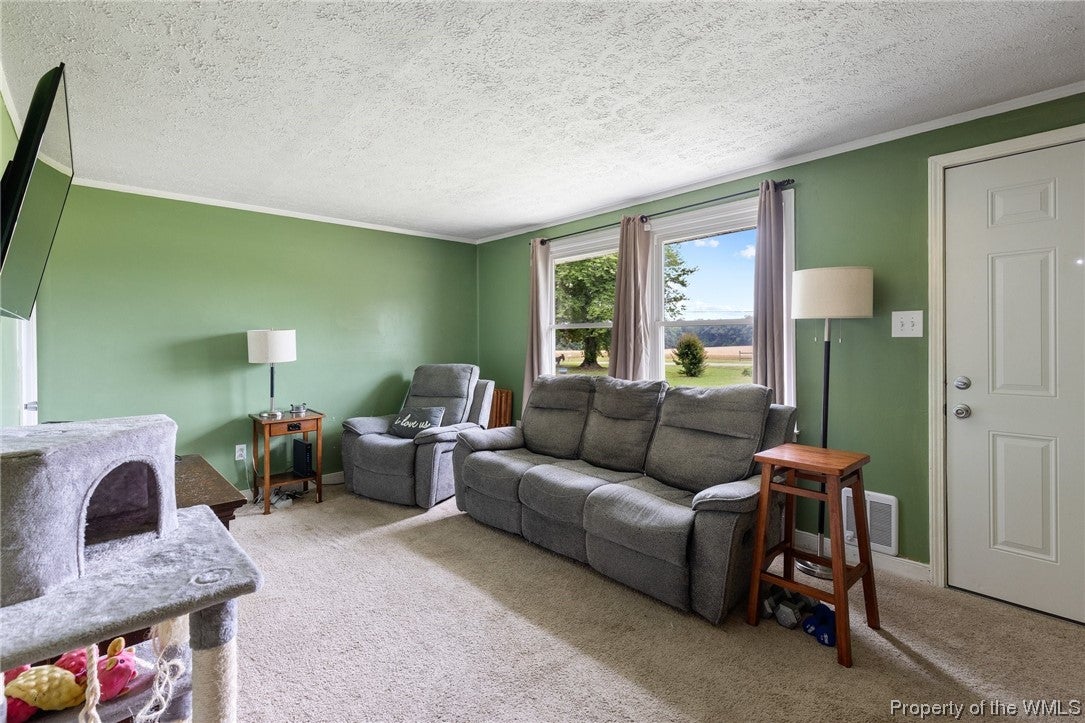 7700 Airport Road Quinton, VA 23141 - Photo 3 of 22 Gallery Image 3