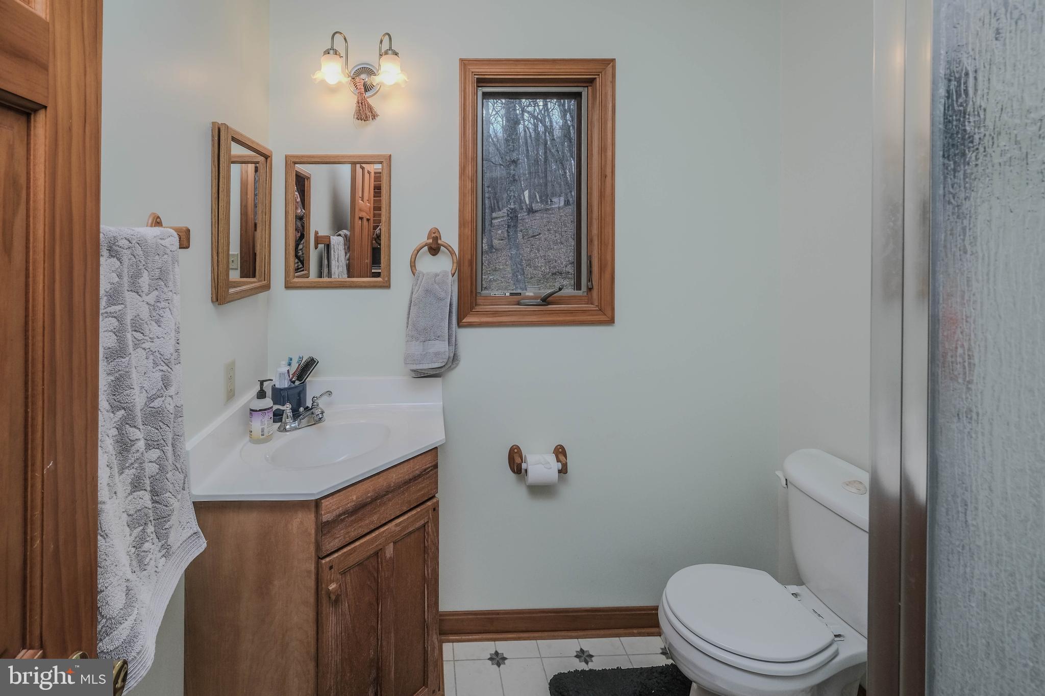 642 Paddys Run Road Star Tannery, VA 22654 - Photo 68 of 79