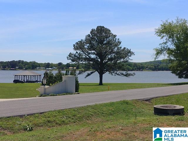 203 Viewpoint Circle Pell City, AL 35128 - Photo 6 of 6