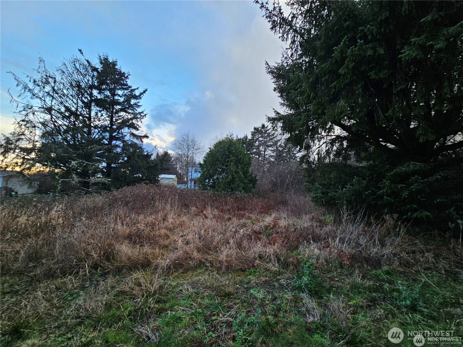 17 3rd Street Pacific Beach, WA 98571 - Photo 6 of 6