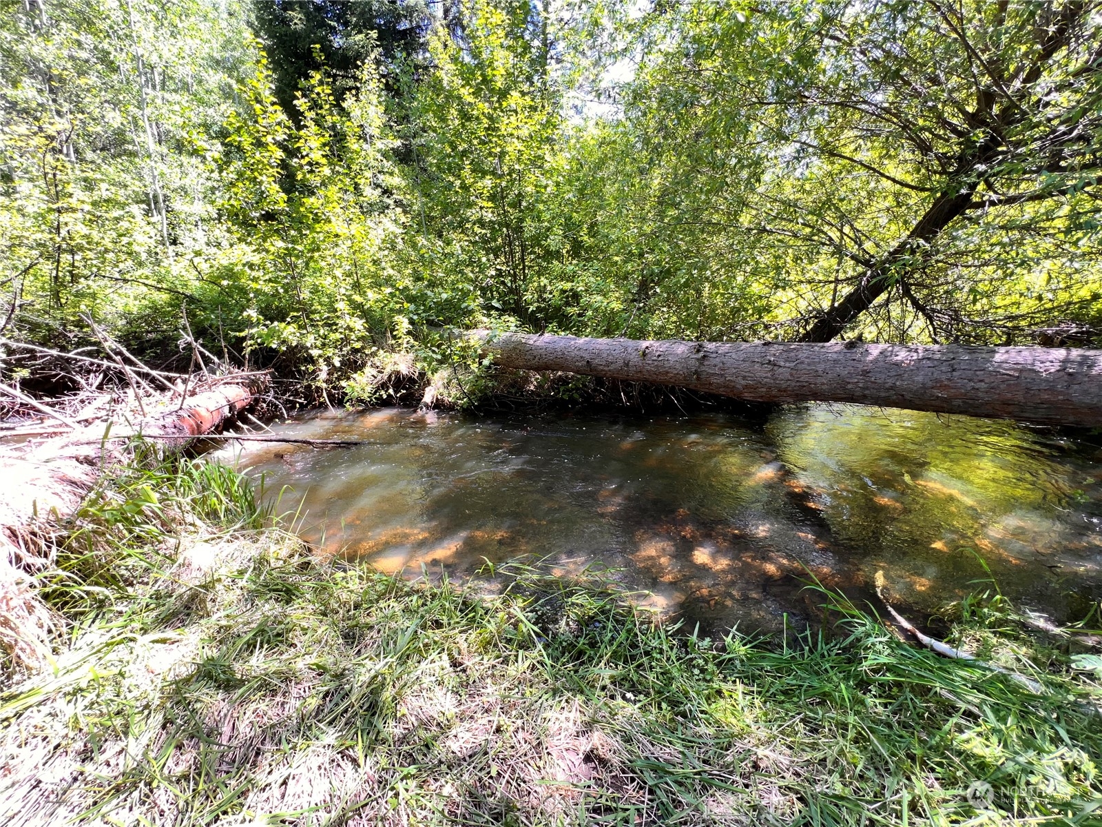 29795 State Rte 20 Republic, WA 99166 - Photo 19 of 30 a view of a lake with houses