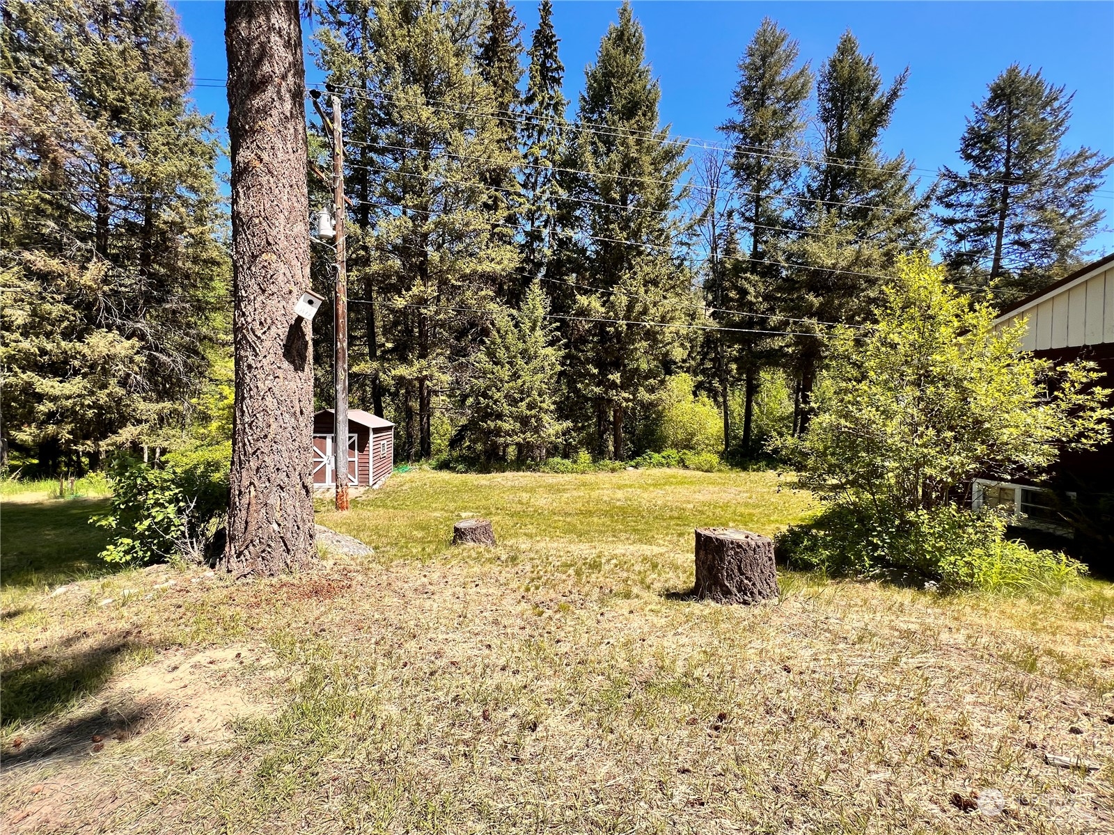 29795 State Rte 20 Republic, WA 99166 - Photo 20 of 30 a view of a yard with an trees