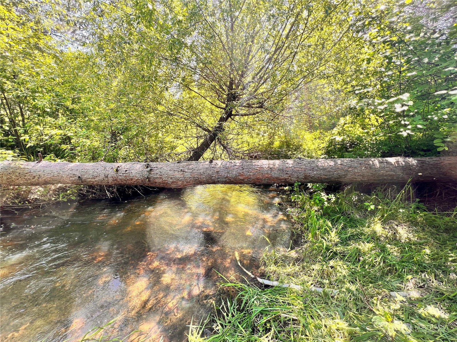 29795 State Rte 20 Republic, WA 99166 - Photo 2 of 30 a view of swimming pool with yard