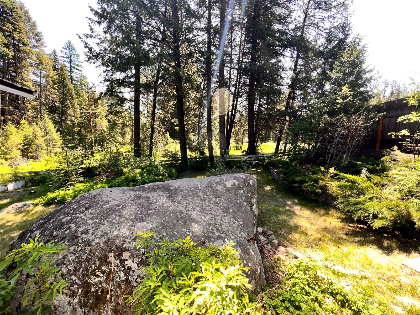 29795 State Rte 20 Republic, WA 99166 - Photo 23 of 30 a view of backyard with green space