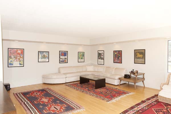144 Wellington Road Northbrook, IL 60062 - Photo 4 of 20 a living room with furniture and a rug