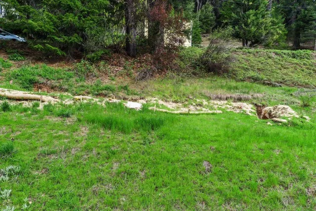 a view of backyard with green space
