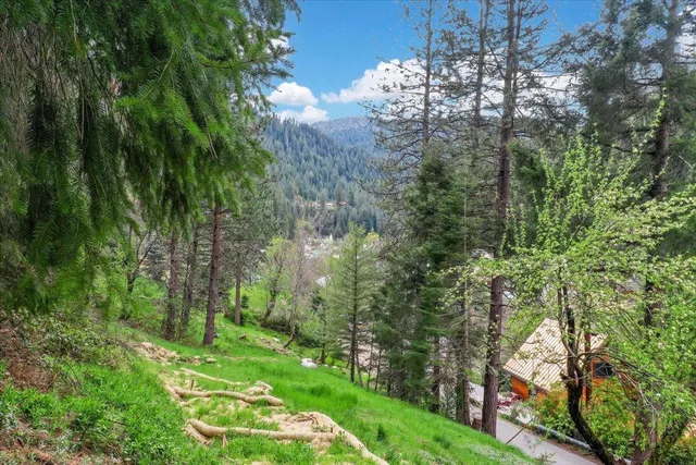 a view of a yard with a tree