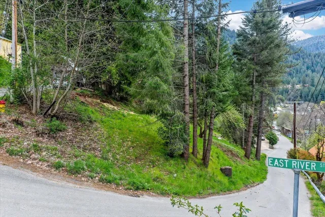 a view of a garden with a bench