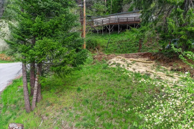 a backyard of a house with lots of green space and plants
