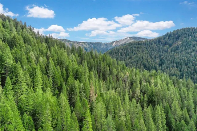 a view of a green field