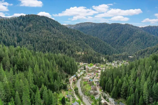 a view of a city and a forest