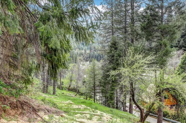 a large yard with lots of green space and trees