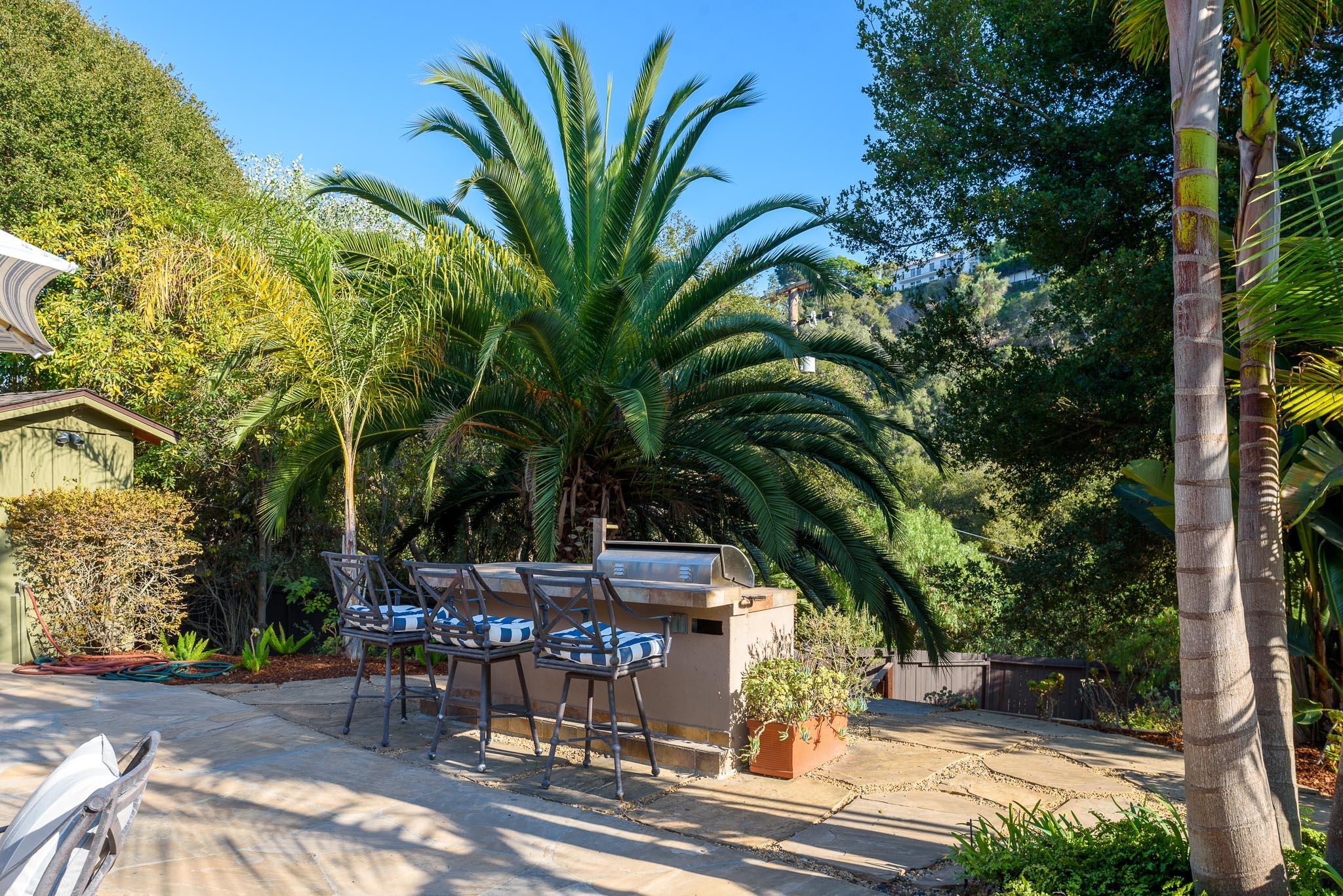 4375 Via Glorieta Santa Barbara, CA 93110 - Photo 23 of 36 a view of a palm trees