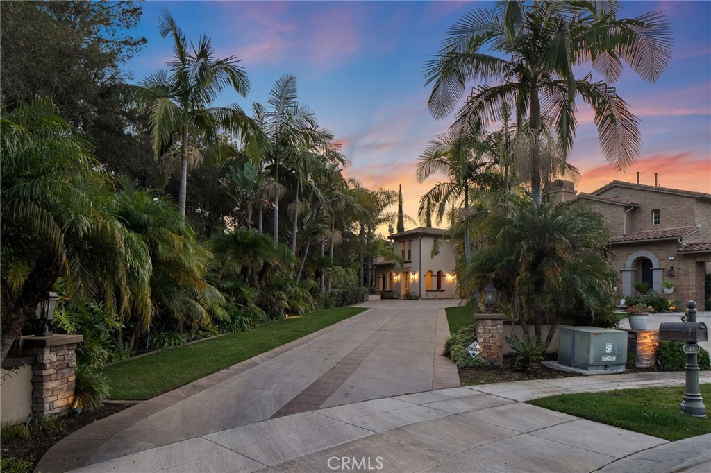 33 Basilica Place Ladera Ranch, CA 92694 - Photo 4 of 59 a couple of palm trees sitting in a yard with swimming pool