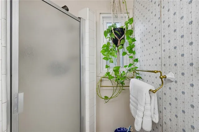 a close view of plant in the terrace