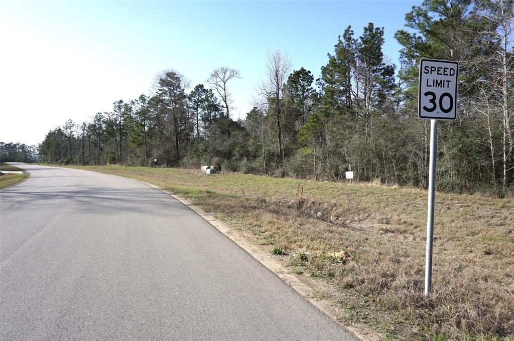 15806 Republic Ranch Road North Willis, TX 77378 - Photo 12 of 20