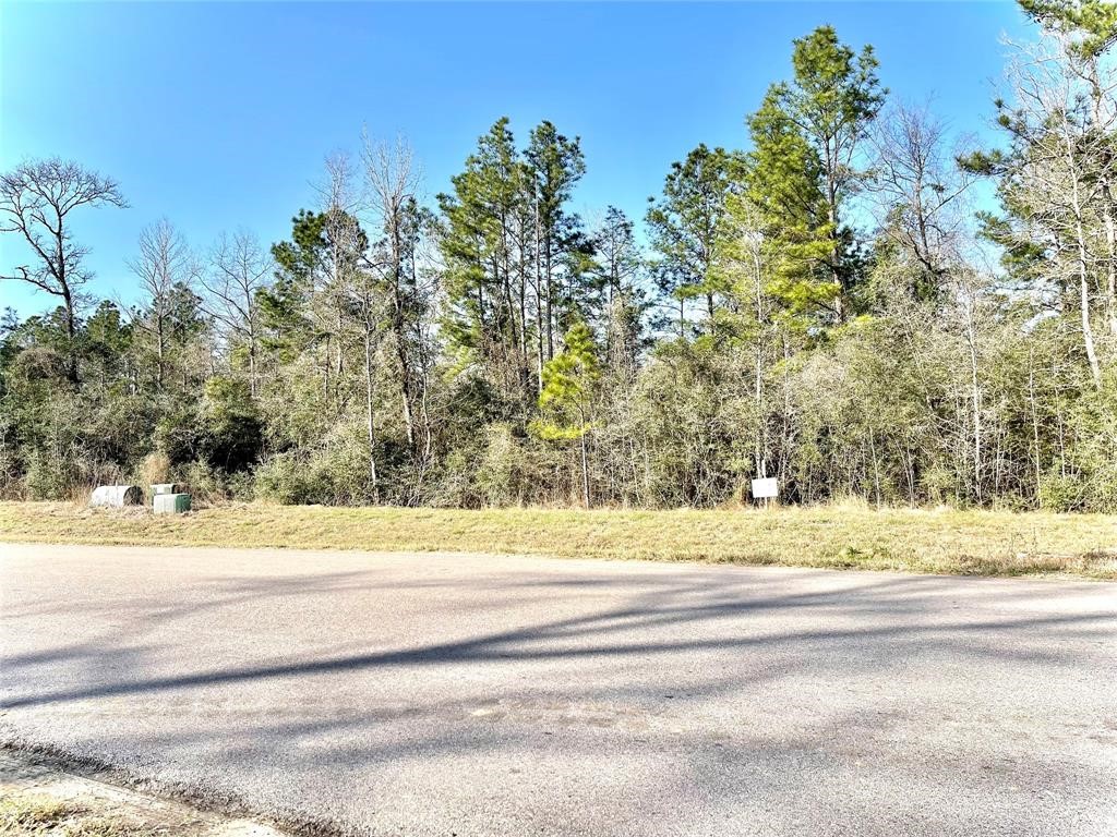 15806 Republic Ranch Road North Willis, TX 77378 - Photo 18 of 20