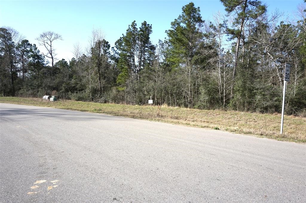 15806 Republic Ranch Road North Willis, TX 77378 - Photo 9 of 20