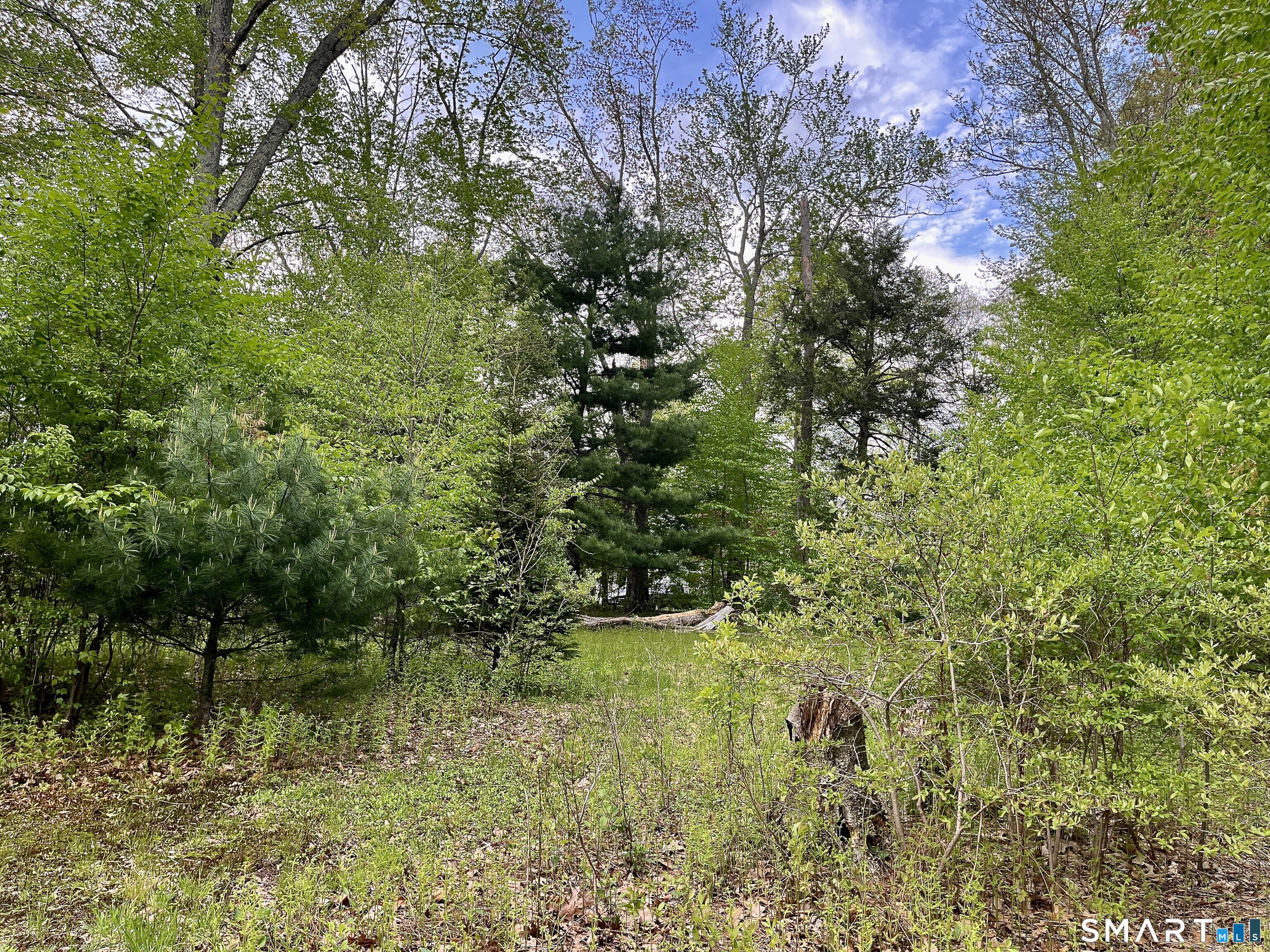 Meadow Brook Road Amston, CT 06231 - Photo 8 of 14 a view of a garden