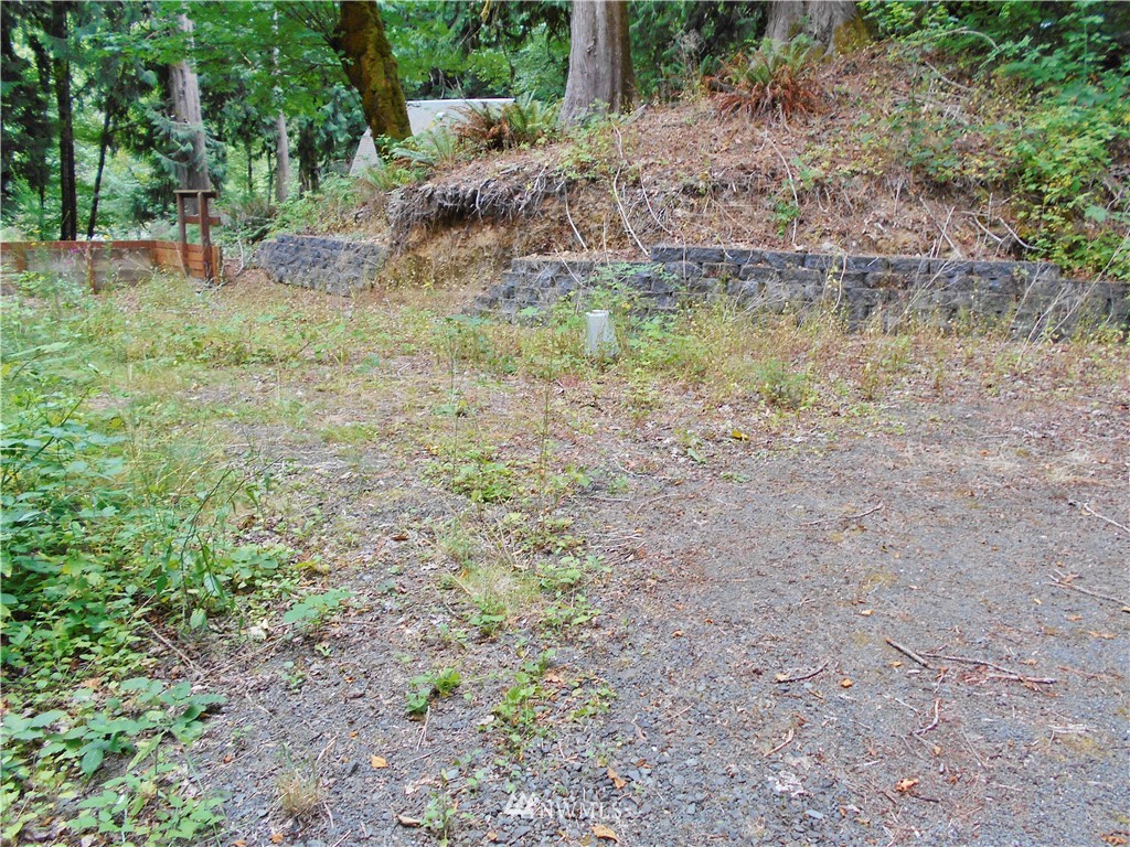 625 Duckabush Road Brinnon, WA 98320 - Photo 11 of 13 Gallery Image 11