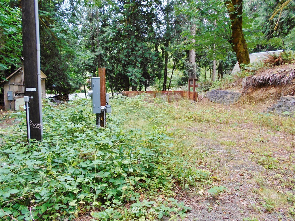 625 Duckabush Road Brinnon, WA 98320 - Photo 13 of 13 Gallery Image 13
