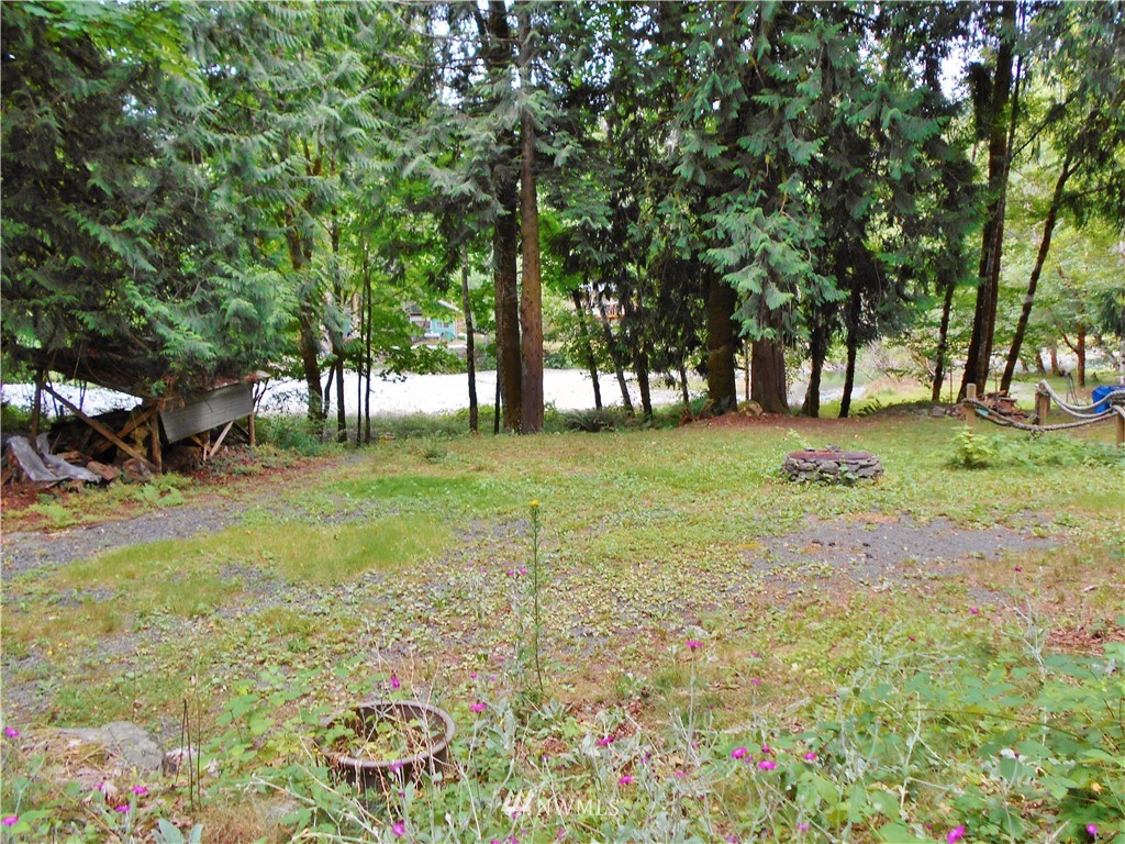 625 Duckabush Road Brinnon, WA 98320 - Photo 5 of 13 Gallery Image 5