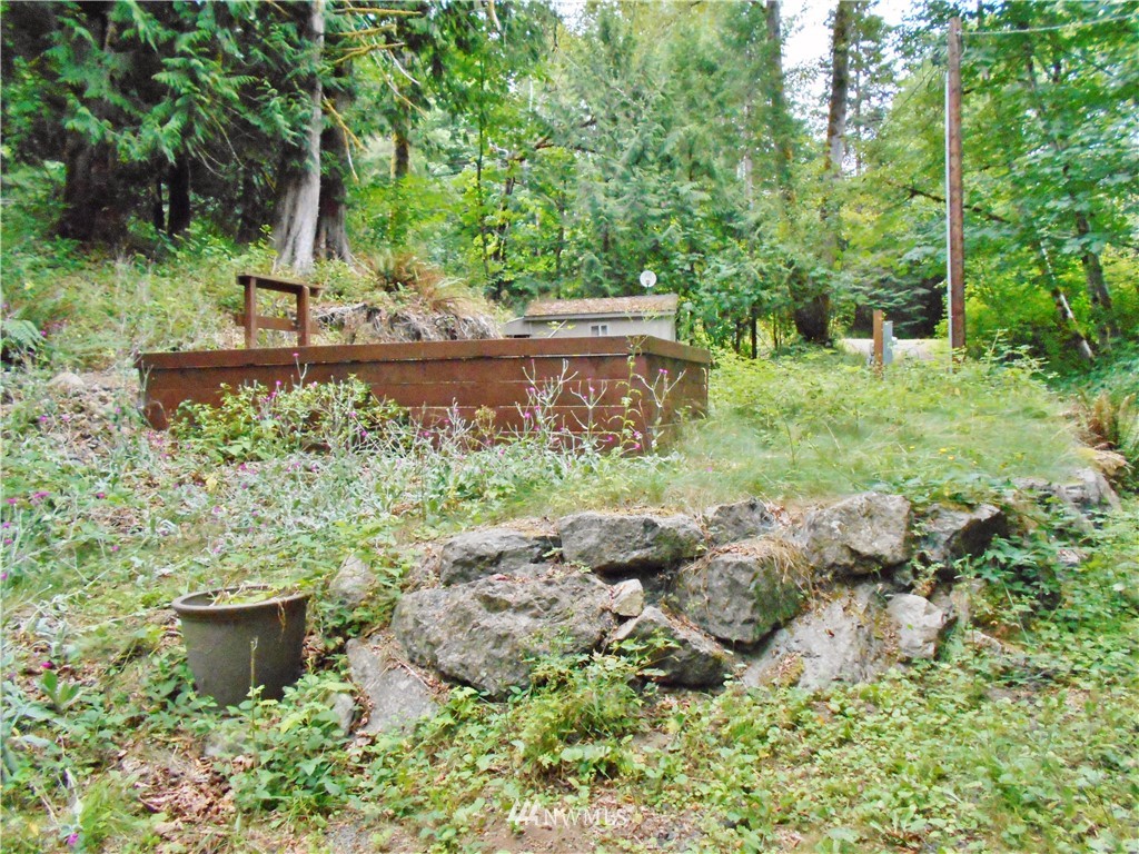625 Duckabush Road Brinnon, WA 98320 - Photo 9 of 13 Gallery Image 9