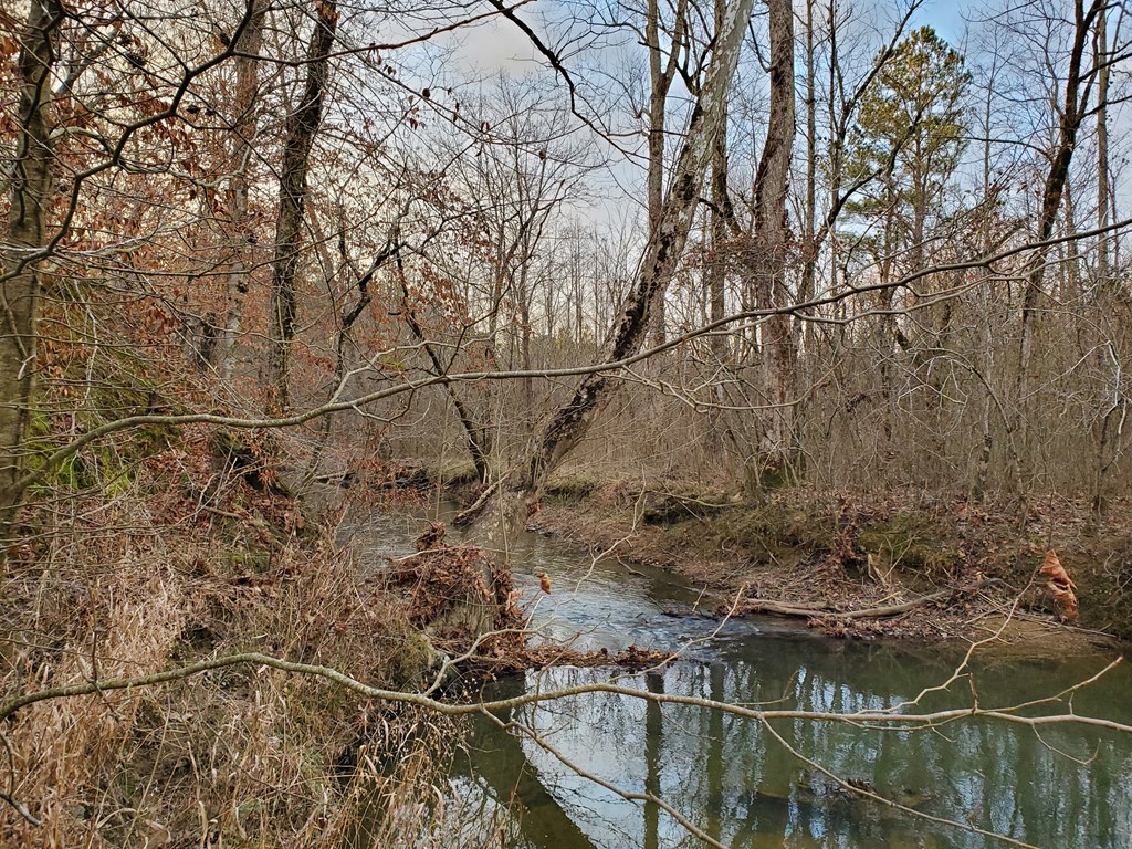 0 Sugar Creek Road Chatsworth, GA 30705 - Photo 6 of 8 Gallery Image 6